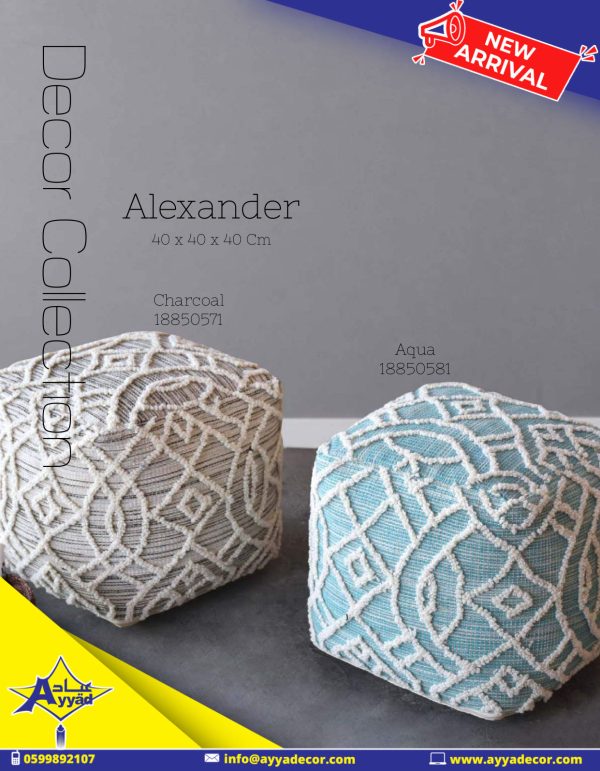 New Arrival 2021