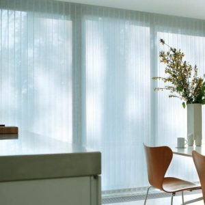 Vertical Blind