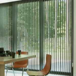 Vertical Blind