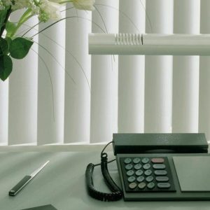 Vertical Blind