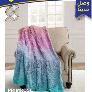 Winter Collection 2023